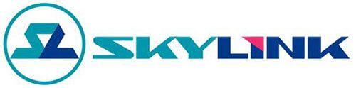 Логотип компании Скай-Линк