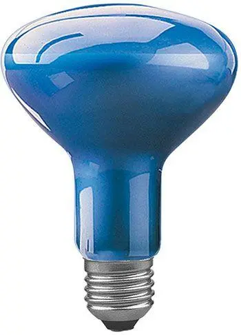 Фито-лампа накаливания фирмы Paulmann